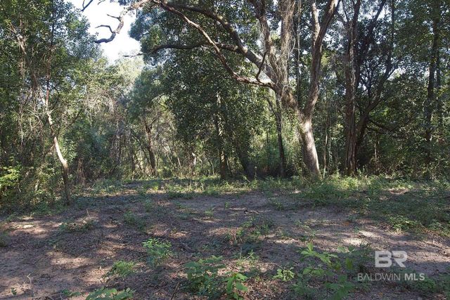 13555 Nolte Creek Drive, Foley, AL 36535