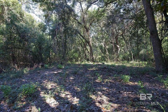 13555 Nolte Creek Drive, Foley, AL 36535