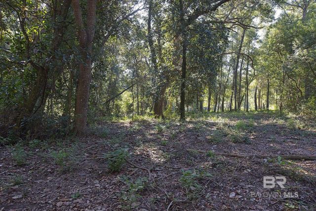 13555 Nolte Creek Drive, Foley, AL 36535