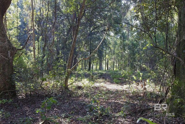 13555 Nolte Creek Drive, Foley, AL 36535