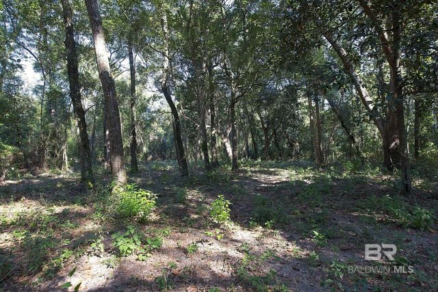 13555 Nolte Creek Drive, Foley, AL 36535