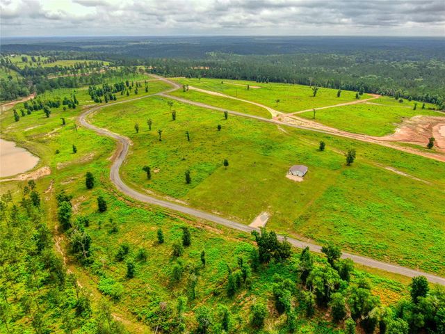 0 Vintage Road Lot 214 Road, Livingston, TX 77351
