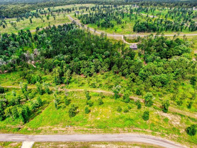 0 Vintage Road Lot 214 Road, Livingston, TX 77351