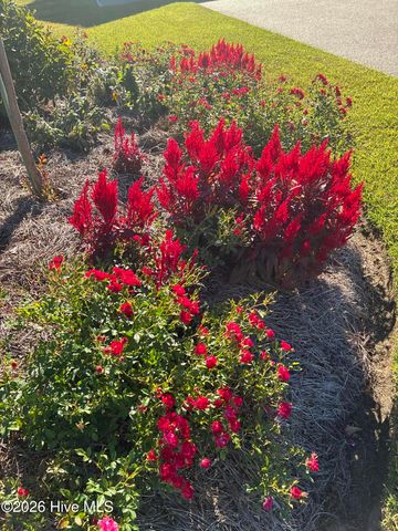 3005 Pine Bay Court, Southport, NC 28461