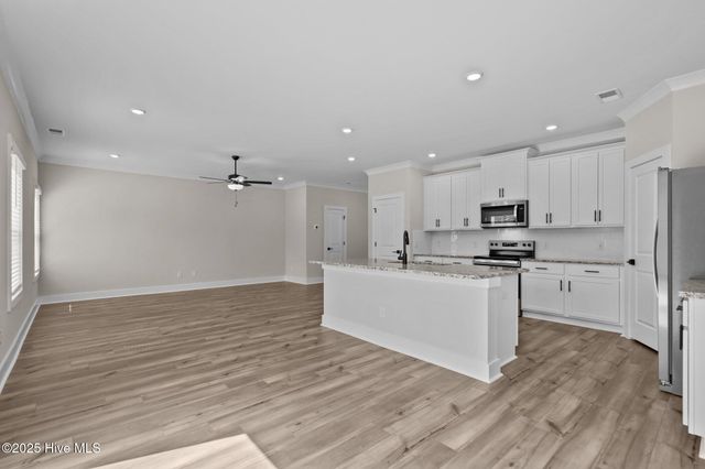 70 Umbrella Palm Drive, Hampstead, NC 28443