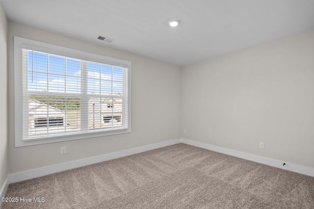 70 Umbrella Palm Drive, Hampstead, NC 28443