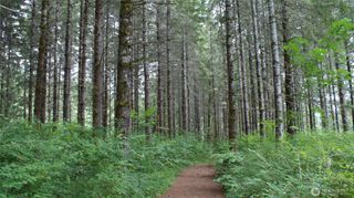 0 Lincoln Creek Road, Centralia, WA 98531