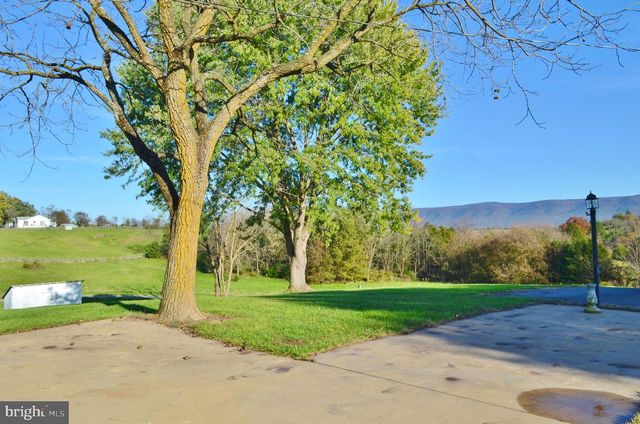 3345 CONICVILLE RD, Mount Jackson, VA 22842