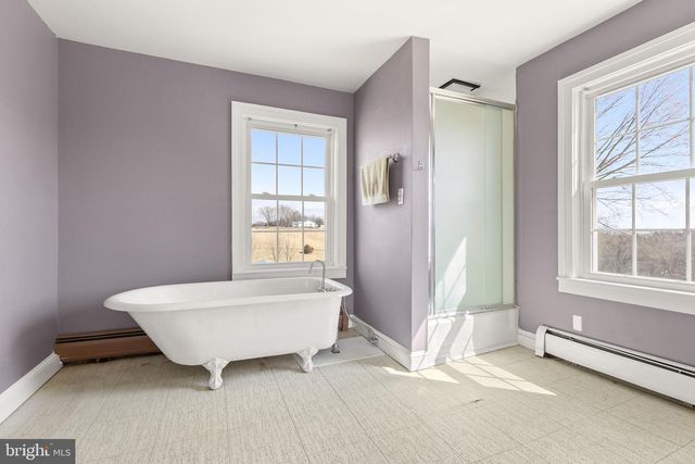 3345 CONICVILLE RD, Mount Jackson, VA 22842