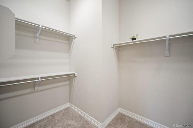 332 Alumroot Street, Castle Rock, CO 80104