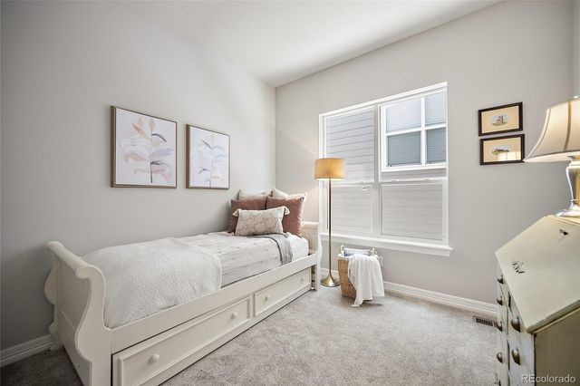 332 Alumroot Street, Castle Rock, CO 80104
