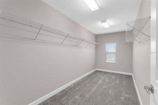 8833 BETH PAGE LN, Davenport, FL 33896