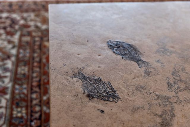 19 Green Wing Road, Ennis, MT 59729