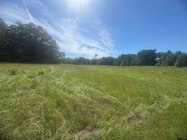 20.869 AC CR 4426, Winnsboro, TX 75494