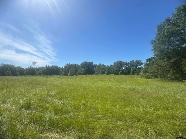 20.869 AC CR 4426, Winnsboro, TX 75494