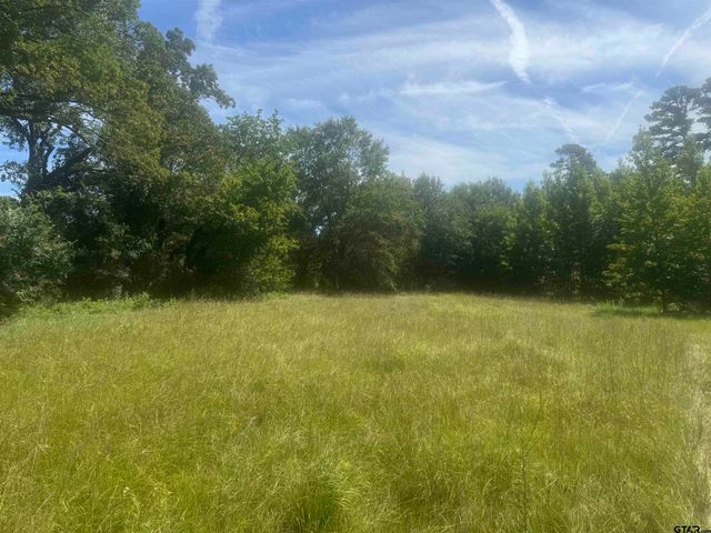 20.869 AC CR 4426, Winnsboro, TX 75494