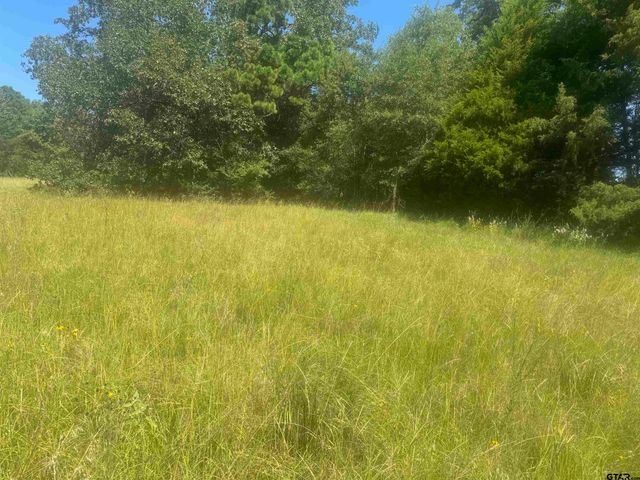 20.869 AC CR 4426, Winnsboro, TX 75494