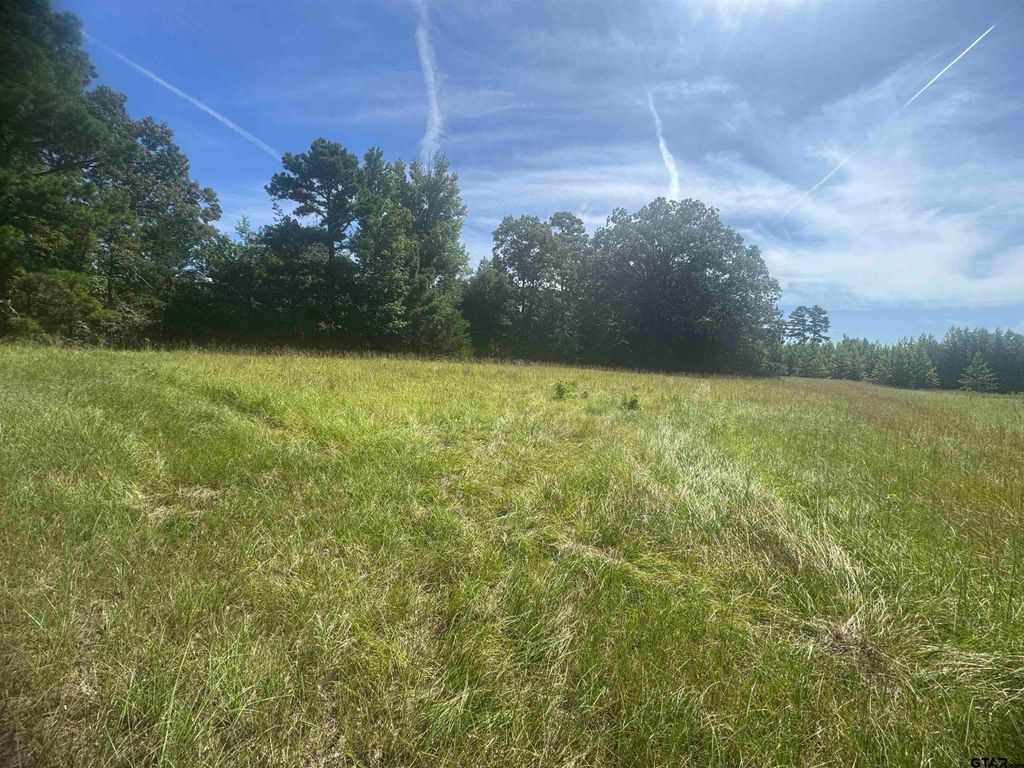 20.869 AC CR 4426, Winnsboro, TX 75494