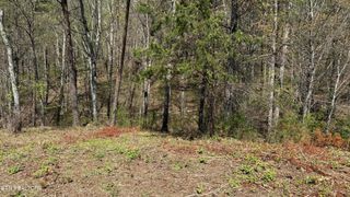 475 Bayside Blvd, Bean Station, TN 37708