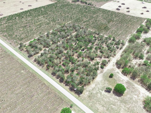 FRIEDLANDER ROAD, Babson Park, FL 33827