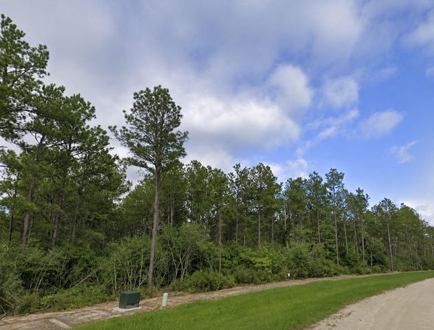 15729 Forest Grove Drive, Willis, TX 77378