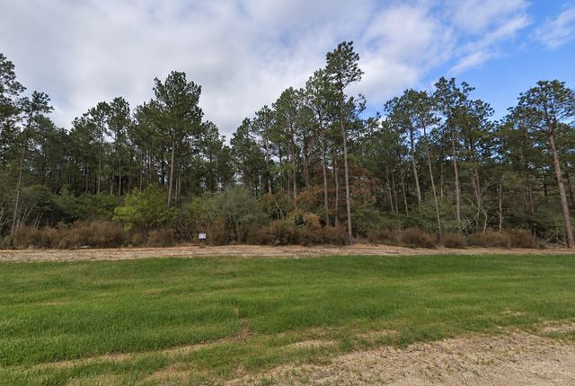 15729 Forest Grove Drive, Willis, TX 77378