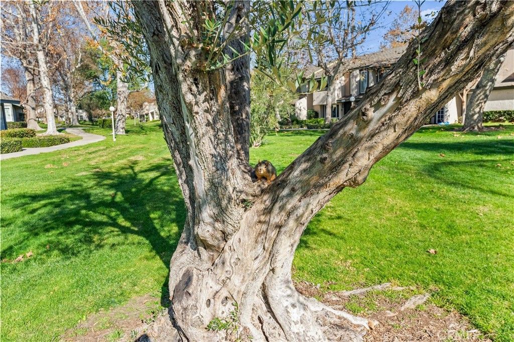 Image 19 of property listing at 692 Archwood Avenue, Brea, CA 92821