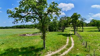 2876 Grant Prairie Rd (+/-75.7 acres), Franklin, TX 77856