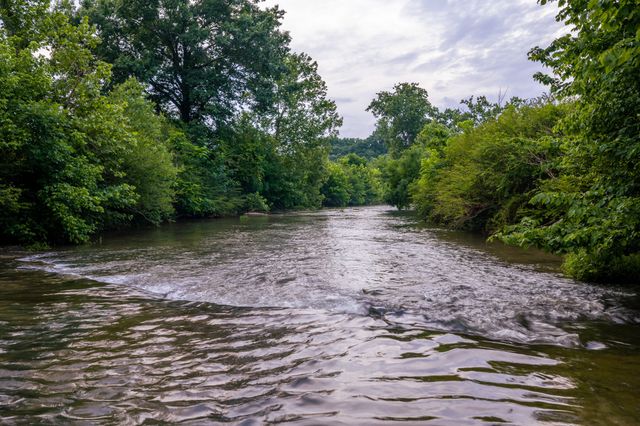 0 Ostella Rd, Cornersville, TN 37047