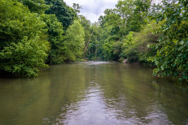 0 Ostella Rd, Cornersville, TN 37047