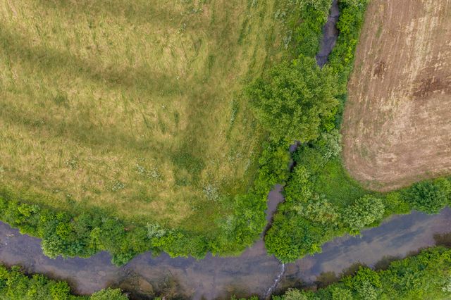 0 Ostella Rd, Cornersville, TN 37047