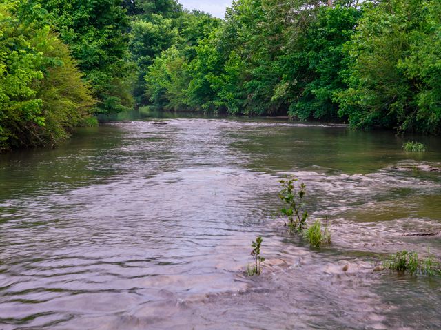 0 Ostella Rd, Cornersville, TN 37047
