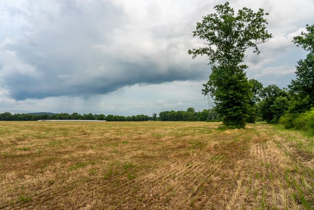 0 Ostella Rd, Cornersville, TN 37047