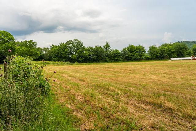 0 Ostella Rd, Cornersville, TN 37047