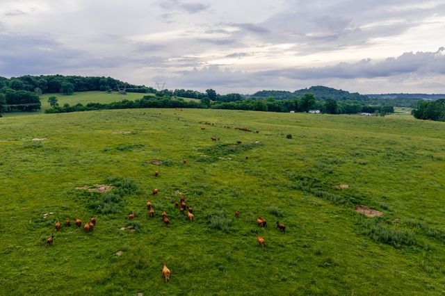 0 Ostella Rd, Cornersville, TN 37047