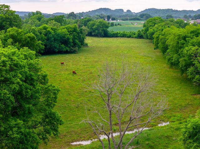 0 Ostella Rd, Cornersville, TN 37047
