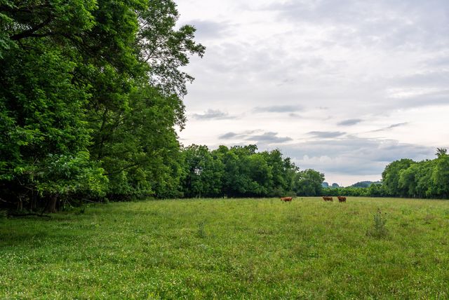 0 Ostella Rd, Cornersville, TN 37047