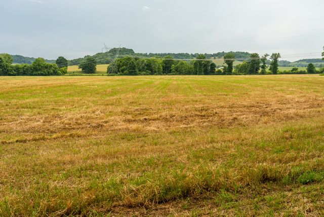 0 Ostella Rd, Cornersville, TN 37047