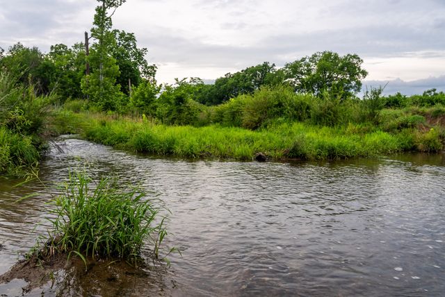 0 Ostella Rd, Cornersville, TN 37047