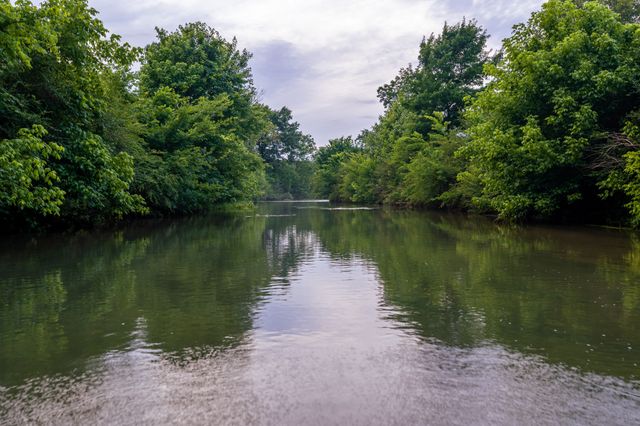 0 Ostella Rd, Cornersville, TN 37047
