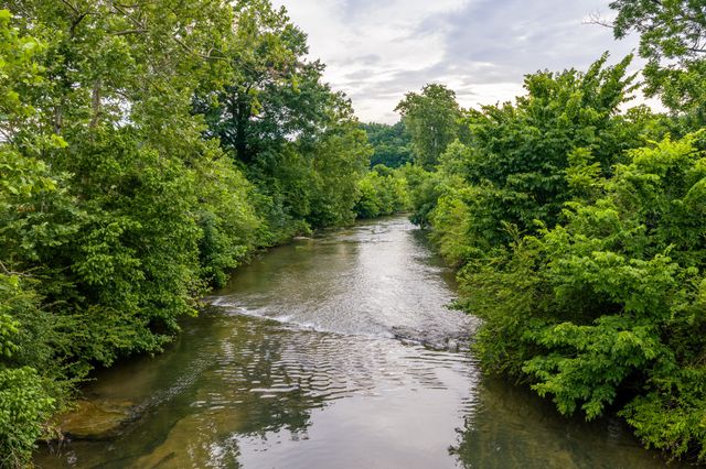 0 Ostella Rd, Cornersville, TN 37047
