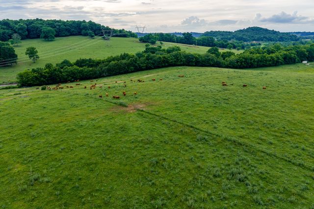 0 Ostella Rd, Cornersville, TN 37047