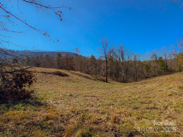 00000 Bluff Cove Road, Weaverville, NC 28787
