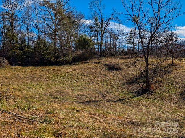 00000 Bluff Cove Road, Weaverville, NC 28787
