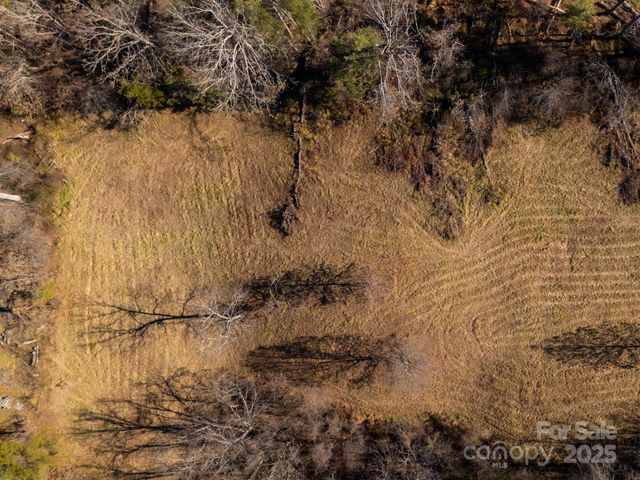 00000 Bluff Cove Road, Weaverville, NC 28787