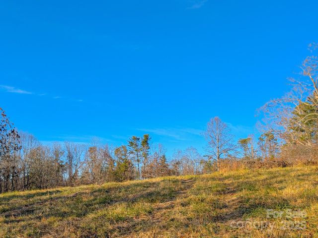 00000 Bluff Cove Road, Weaverville, NC 28787