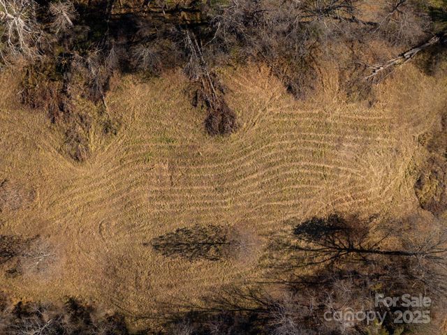 00000 Bluff Cove Road, Weaverville, NC 28787