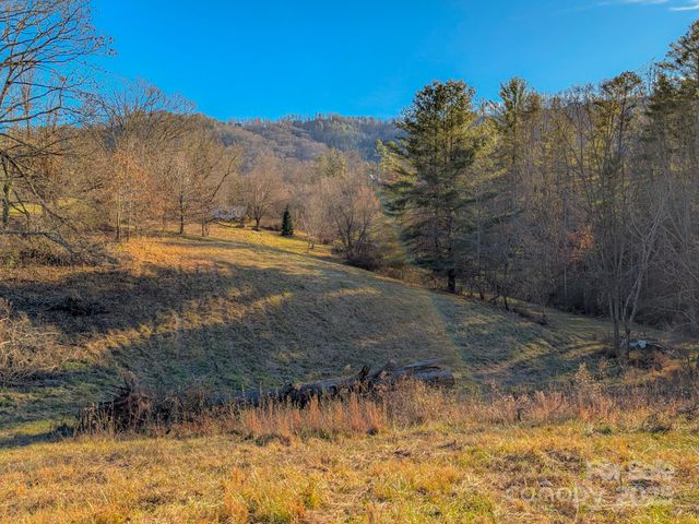 00000 Bluff Cove Road, Weaverville, NC 28787