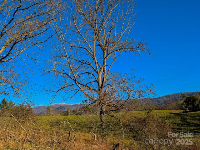 00000 Bluff Cove Road, Weaverville, NC 28787