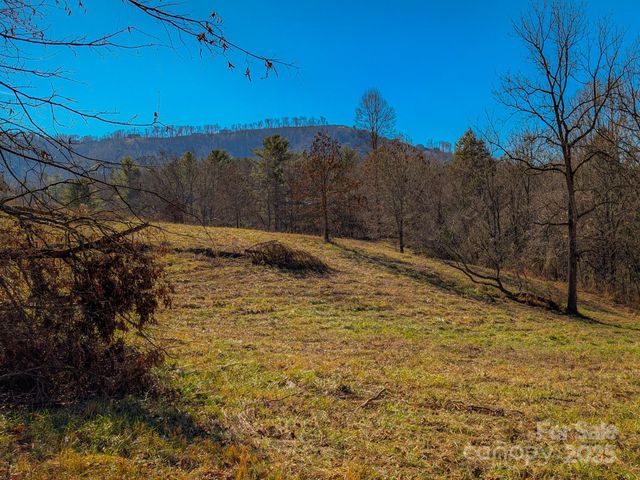 00000 Bluff Cove Road, Weaverville, NC 28787